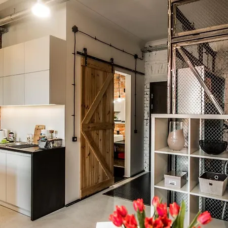 Apartment Loft 200m To Old Town Wi-fi Olsztyn (Warmian-Masurian)